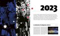 The Official History of the FIFA Women's World Cup (FIFA Museum)