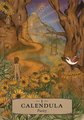 The Herbal Astrology Pocket Oracle: A 55-Card Deck and Guidebook