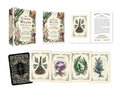 The Green Witch's Oracle Deck: Embrace the Wisdom and Insight of Natural Magic (Green Witch Witchcraft)