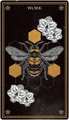Wild Mystic Oracle Card Deck: A 50-Card Deck and Guidebook
