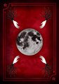 Seasons of the Witch, Samhain Oracle, Harness the Intuitive Power of the Years Most Magical Night