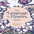 The Language of Flowers Oracle: Sacred Botanical Guidance and Support ( Rockpool Oracle Card )