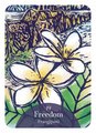 The Language of Flowers Oracle: Sacred Botanical Guidance and Support ( Rockpool Oracle Card )