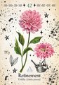 Green Witch Oracle Cards: Discover Real Secrets of Natural Magick