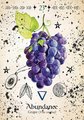 Green Witch Oracle Cards: Discover Real Secrets of Natural Magick