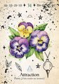 Green Witch Oracle Cards: Discover Real Secrets of Natural Magick