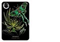 Flowers of the Night Oracle ( Rockpool Oracle Card )