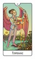This Might Hurt Tarot Deck (Modern Tarot Library)