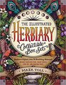 The Illustrated Herbiary Collectible Box Set: Guidance and Rituals from 36 Bewitching Botanicals