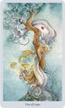 Shadowscapes Tarot [With Booklet]