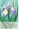 Soulflower Plant Spirit Oracle: 44-Card Deck and Guidebook