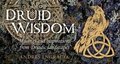 Druid Wisdom (Rockpool Mini Cards)