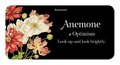 The Language of Flowers: Loving Support from the Wisdom of Nature Rockpool Mini Cards