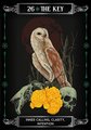 Earth & Bone Oracle: Honor the Concepts of Rebirth and Transformation