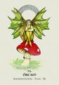Celtic Spirit Oracle: Ancient Wisdom from the Elementals