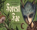Forest Fae: Curious Messages of Enchantment Rockpool Mini Cards
