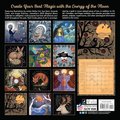 Llewellyn's 2025 Magical Moon Calendar: Spells & Lore (Llewellyn's 2025 Calendars, Almanacs and Datebooks)