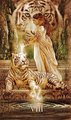 Mystic Palette Tarot Muted Tone Edition (Mystic Palette Tarot)