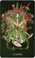 Unlocking the Secret Garden Oracle