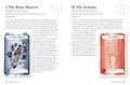 The Body Tarot: Includes 72 Cards and a 64-Page Illustrated Guidebook