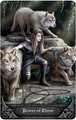 Anne Stokes Gothic Oracle: Deck & Book Set