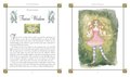 Faerie Wisdom: Includes 52 Magical Message Cards and a 64-Page Illustrated Book