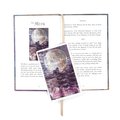Heavenly Bodies Astrology: Deck and Hardback Guidebook (Deluxe Boxset)