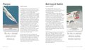 Unusual Animal Messages Oracle Deck: Includes 52 Cards and a 64-Page Illustrated Book
