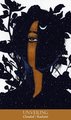 Soul Mirror Oracle: See Yourself (Soul Mirror Oracle)