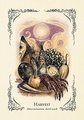 The Green Witch's Oracle Deck: Embrace the Wisdom and Insight of Natural Magic (Green Witch Witchcraft)