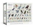 Sibley Backyard Birding Puzzle: 1000-Piece Jigsaw Puzzle with Portraits of Favorite North American Birds Jigsaw Puzzles for Adults