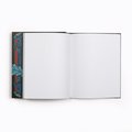 The Book of Concealment (Dungeons & Dragons) A Game Screen and Journal in One (Dungeons and Dragons)