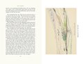 The Hobbit Illustrated by the Author: Illustrated by J.R.R. Tolkien (Tolkien Illustrated Editions)