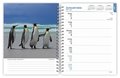 Beaches 2025 6 X 7.75 Inch Spiral-Bound Wire-O Weekly Engagement Planner Calendar New Full-Color Image Every Week