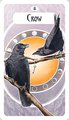 The Avian Oracle: (45 Full-Color Cards and 60-Page Guidebook)