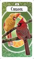 The Avian Oracle: (45 Full-Color Cards and 60-Page Guidebook)