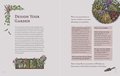 The Green Witch Illustrated: An Enchanting Immersion Into the Magic of Natural Witchcraft (Green Witch Witchcraft)