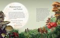 The Green Witch Illustrated: An Enchanting Immersion Into the Magic of Natural Witchcraft (Green Witch Witchcraft)