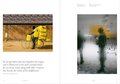Elements: Chaos, Order and the Five Elemental Forces