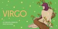 Virgo Pocket Zodiac Cards: 40 Magical Messages from the Stars (Pocket Zodiac Cards)