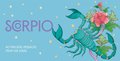 Scorpio Pocket Zodiac Cards: 40 Magical Messages from the Stars (Pocket Zodiac Cards)