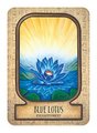 Auset Egyptian Oracle Cards: Ancient Egyptian Divination and Alchemy Cards ( Rockpool Oracle Card )