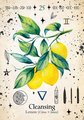 Green Witch Oracle Cards: Discover Real Secrets of Natural Magick