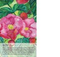 Soulflower Plant Spirit Oracle: 44-Card Deck and Guidebook