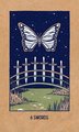 Transient Light Tarot: An 81-Card Deck and Guidebook