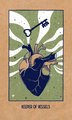 Transient Light Tarot: An 81-Card Deck and Guidebook