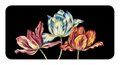 The Language of Flowers: Loving Support from the Wisdom of Nature Rockpool Mini Cards