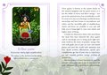Seasons of the Witch - Litha Oracle