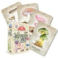 Mushroom Spirit Oracle