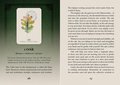 Celtic Spirit Oracle: Ancient Wisdom from the Elementals